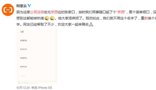 企業命名之“簡單順口” 從“京西”到“信息咨詢服務”的命名哲學